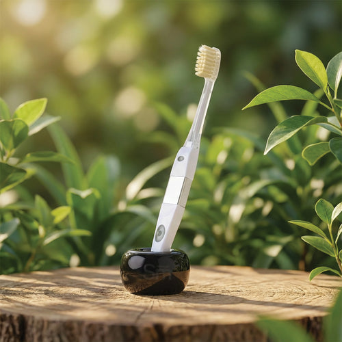 حامل فرشاة أسنان سيراميك