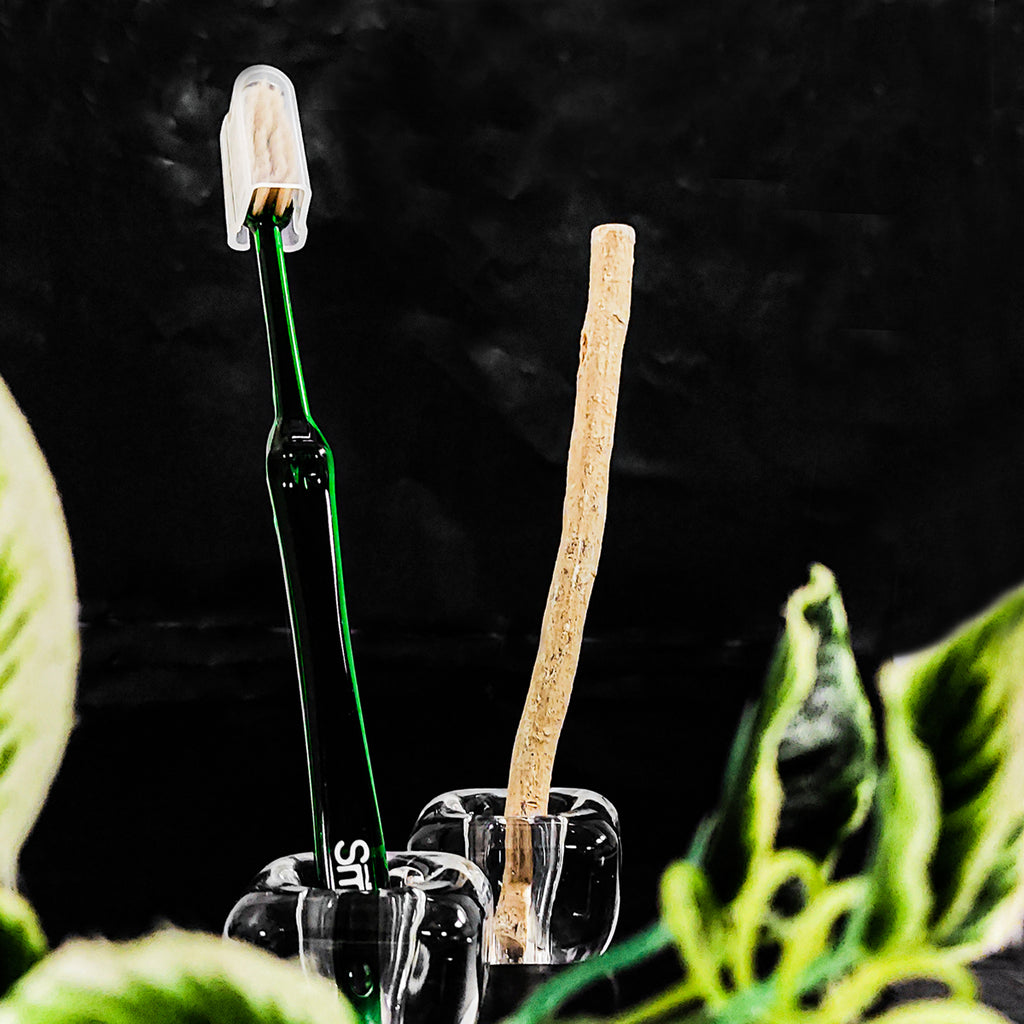 فرشاة المسواك الكلاسيكية