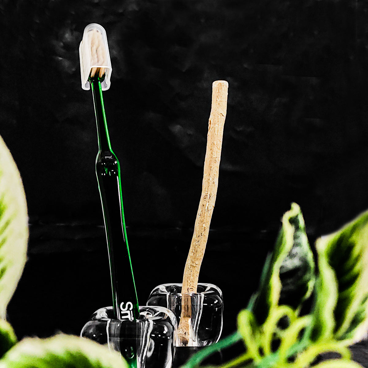 فرشاة المسواك الكلاسيكية